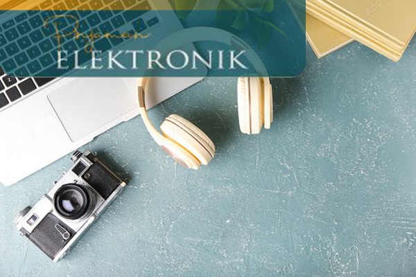 Pinjaman Elektronik (PNRE)